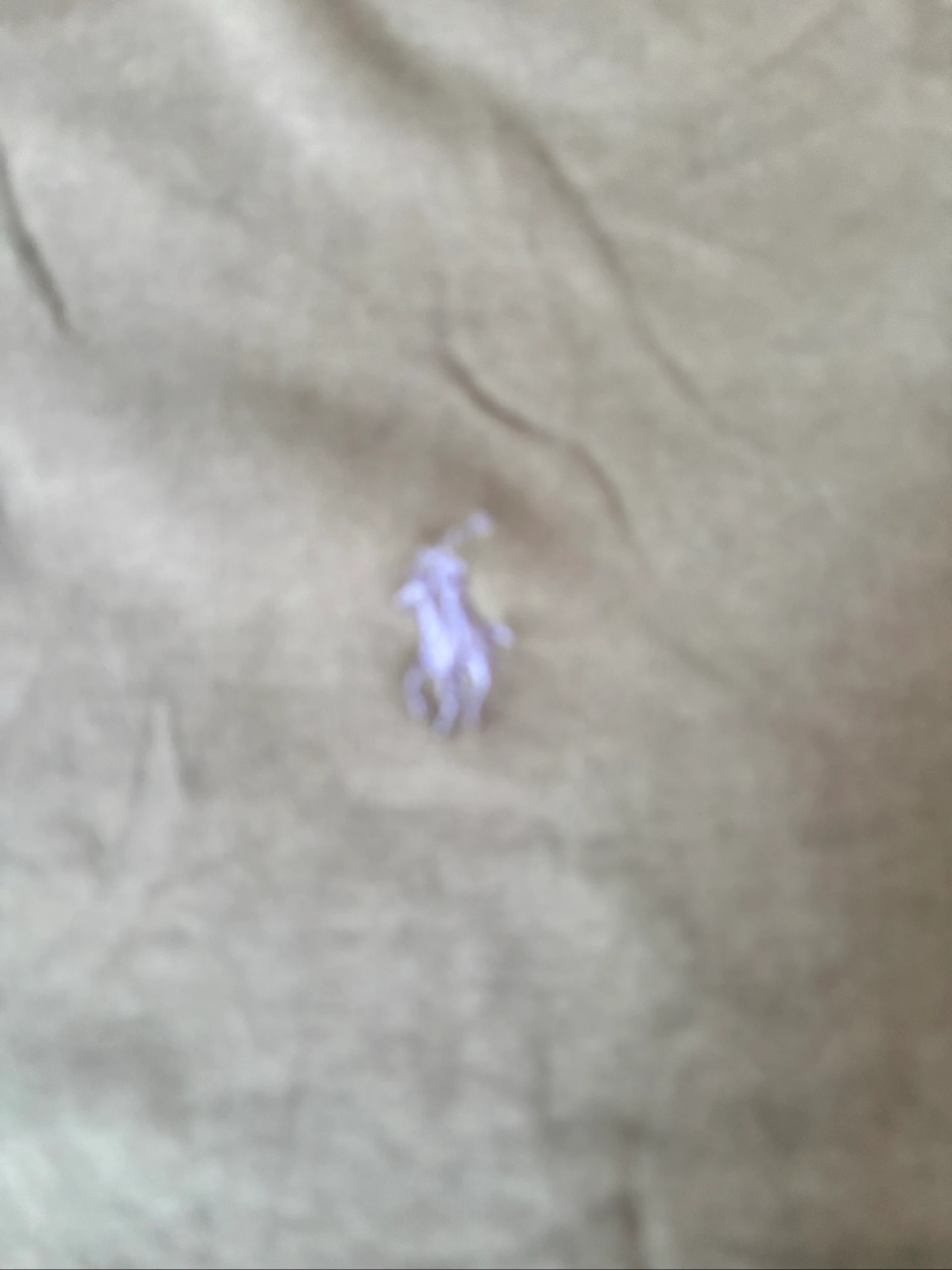 Polo Ralph Lauren homme – photo 8